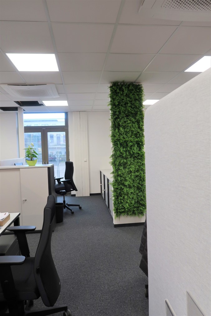 LivingWall Juniperus