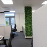LivingWall Juniperus