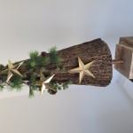 Weihnachtset "Arian"