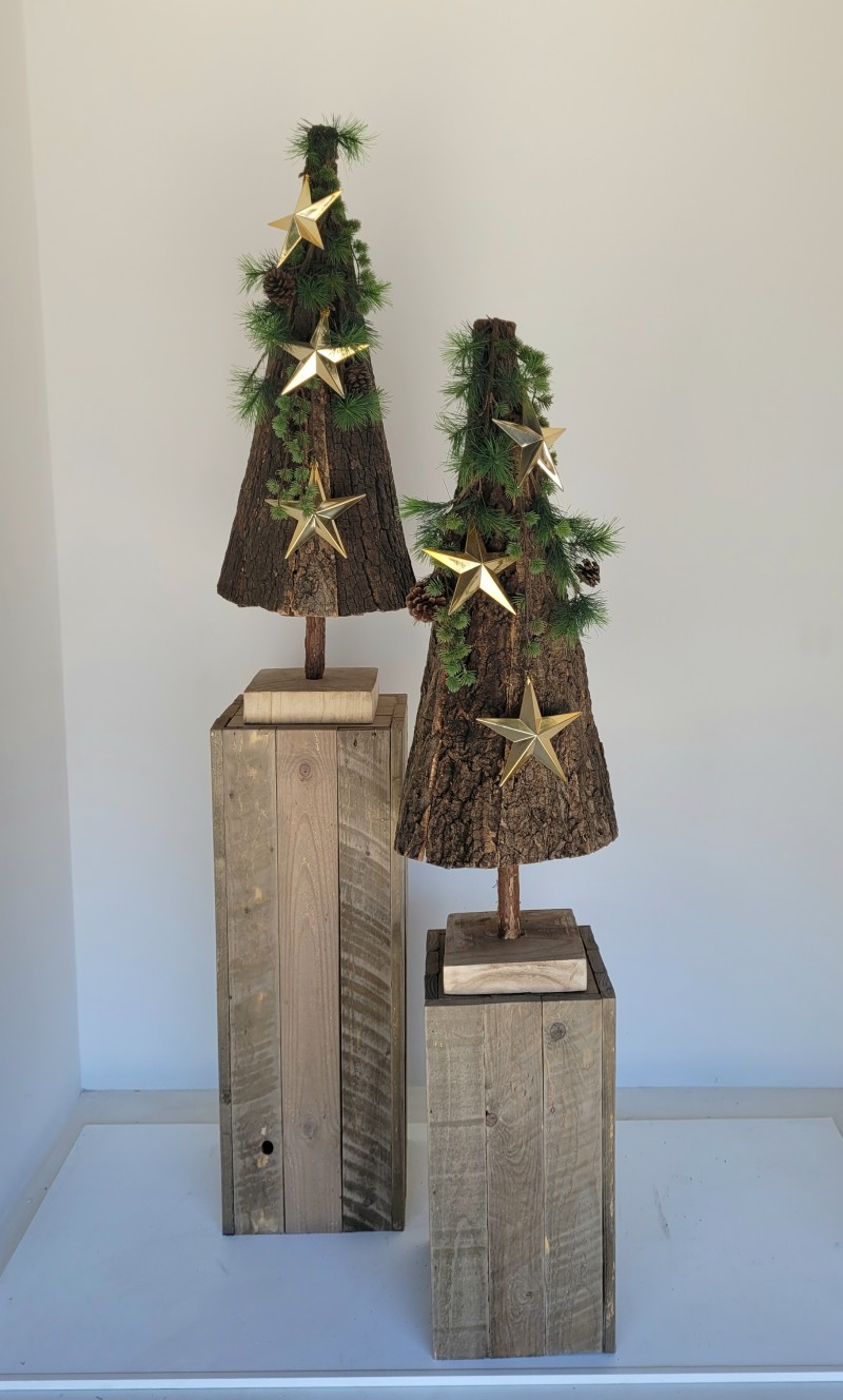 Weihnachtset "Arian"
