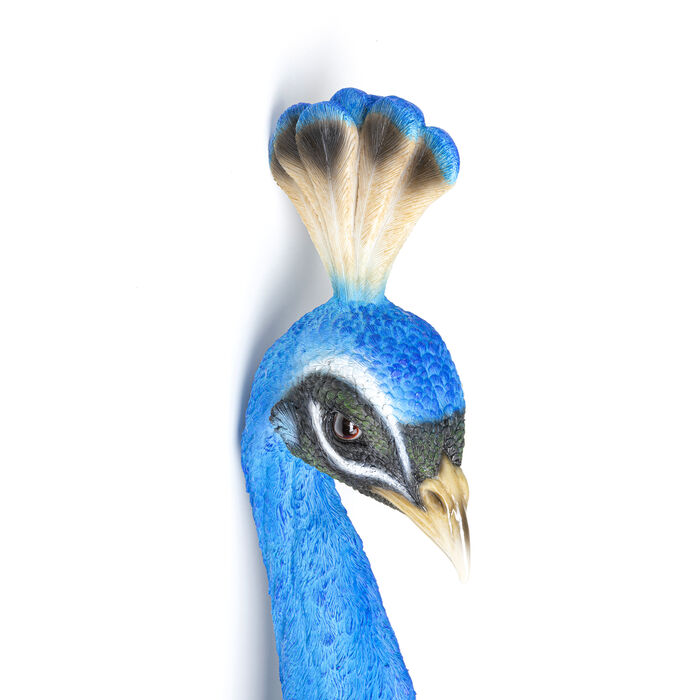 Pfau - Wanddeko