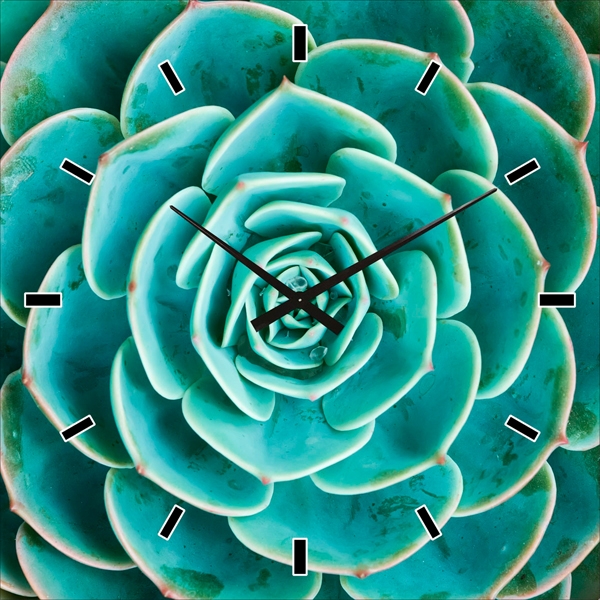 Agave, Wanduhr
