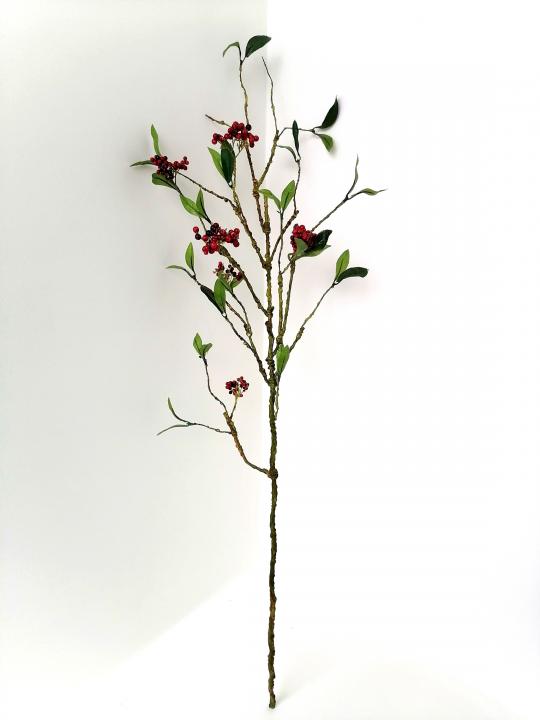Ast "Red Berry"