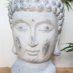 Buddha Head Medium