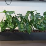 Clayfibre Balconybox