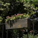Climaqua JARDI 50 - rusty
