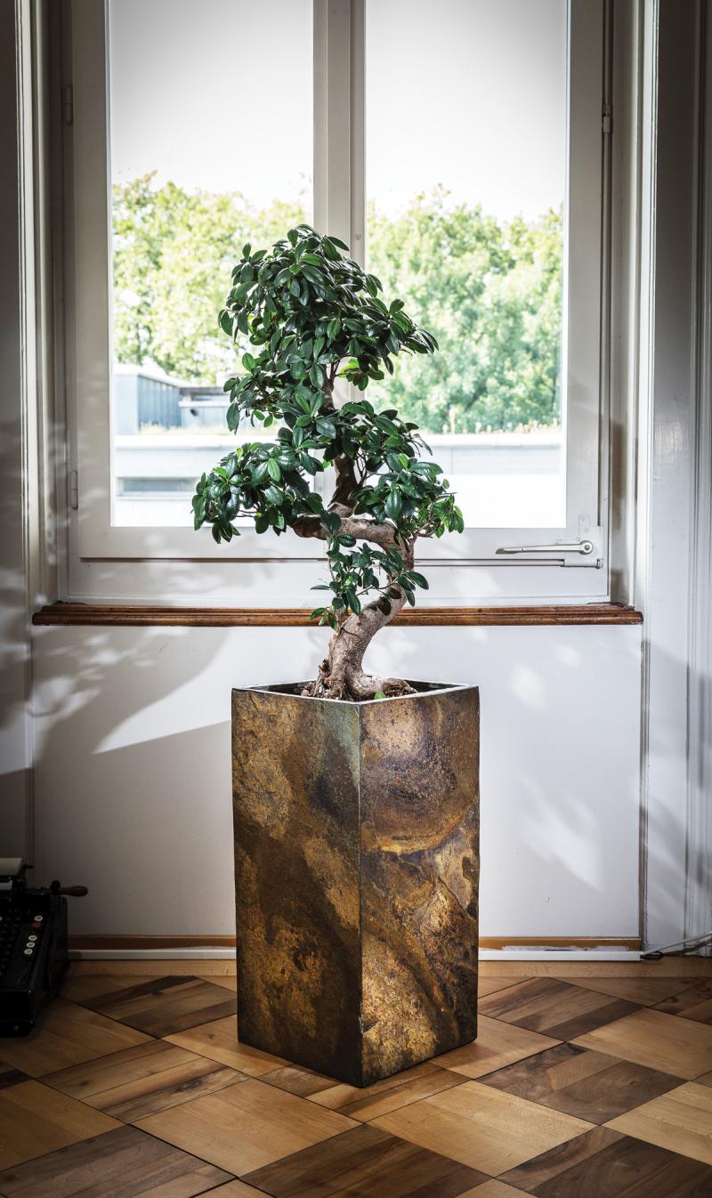 Climaqua PYLO 57 - rusty