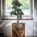 Climaqua PYLO 57 - rusty