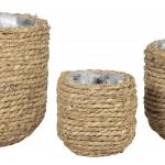 Crusoe Natural Egg Pot