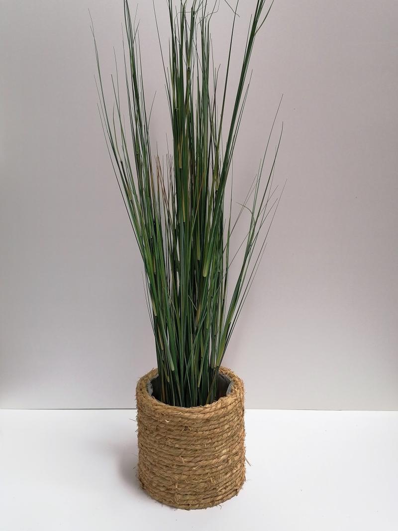 Crusoe Natural Pot