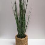 Crusoe Natural Pot