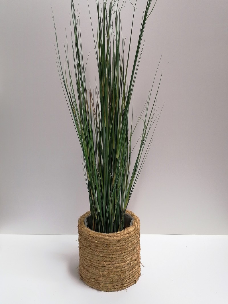 Crusoe Natural Pot