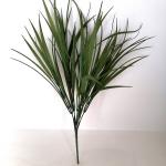 Grasbusch 