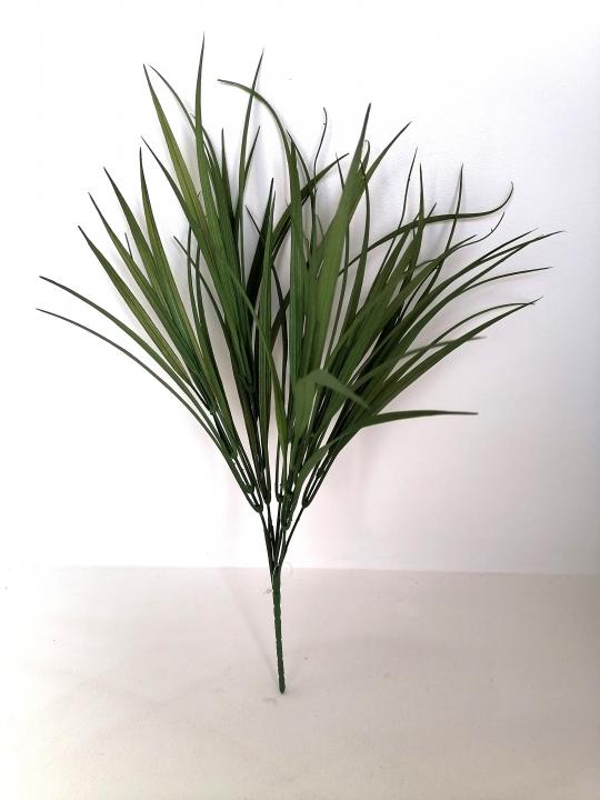 Grasbusch 