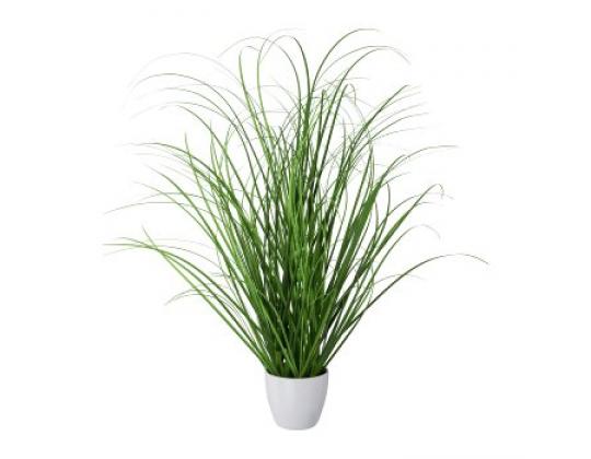 Grasbusch im Topf