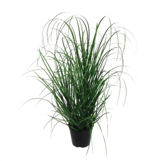 Grasbusch im Topf