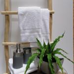 Holzleiter natur