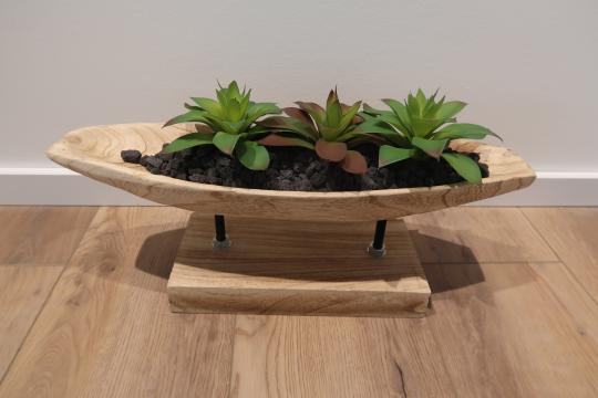 Kobe Show Tray