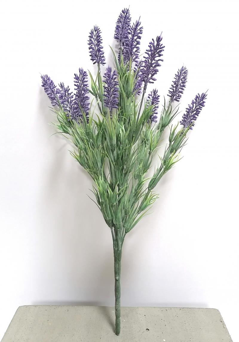 Lavendel, 47 cm hoch