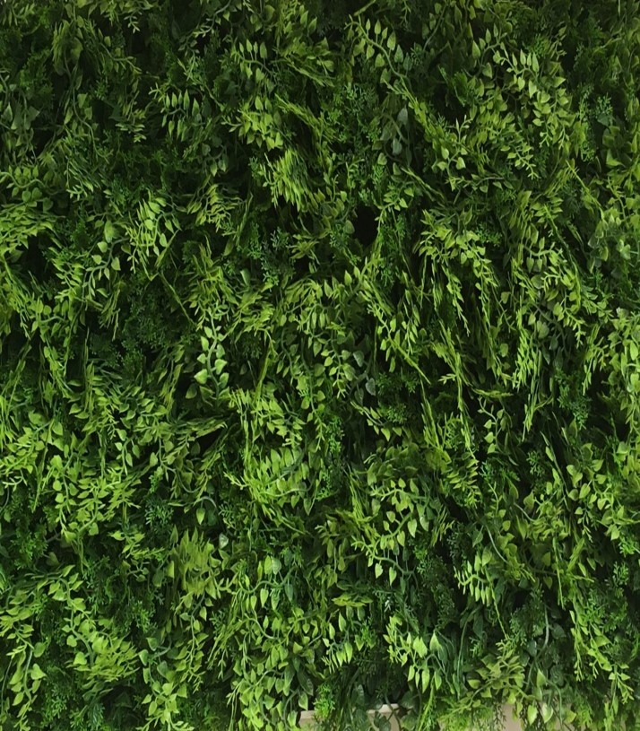 LivingWall Juniperus