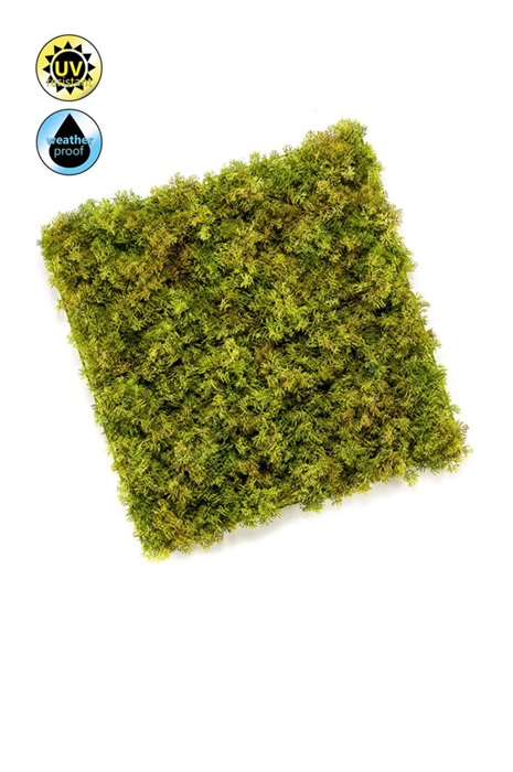 LivingWall Islandmoos - Kunstpflanze
