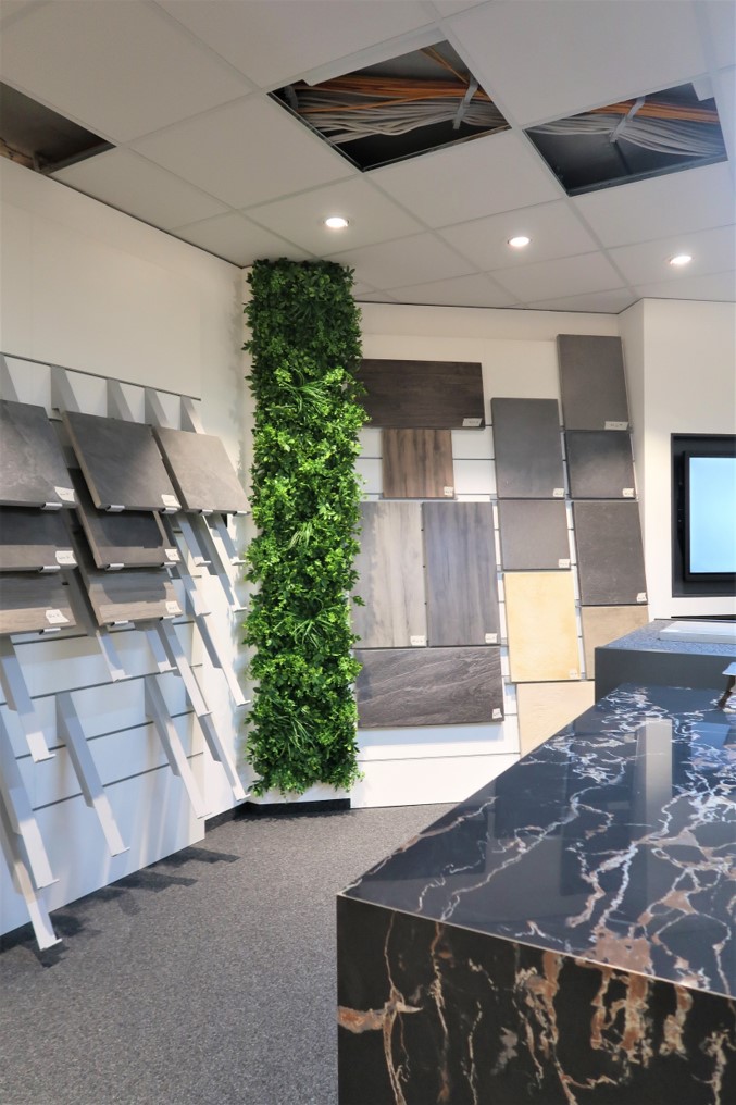 LivingWall Schefflera