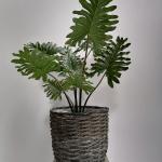 Maize Egg Pot, Brown