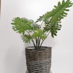 Maize Egg Pot, Brown