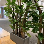 Raumteiler "Kleiner Wald" Fix und Fertig