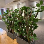 Raumteiler "Kleiner Wald" Fix und Fertig