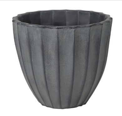 Rinca Scalloped