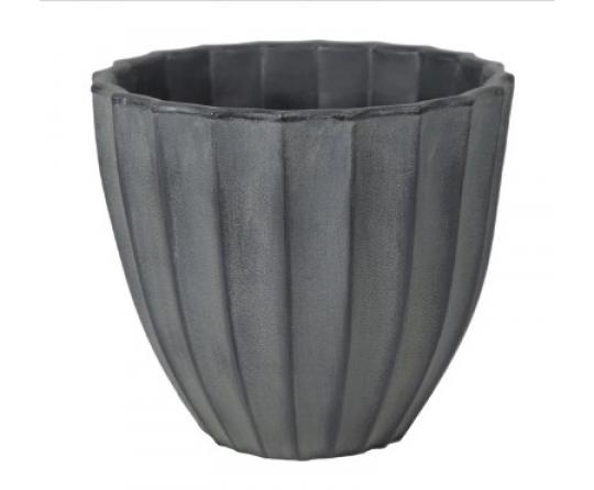 Rinca Scalloped