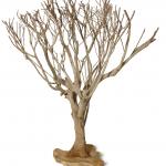 Tee-Baum - UNIKAT