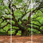 Verzweigter Baum
