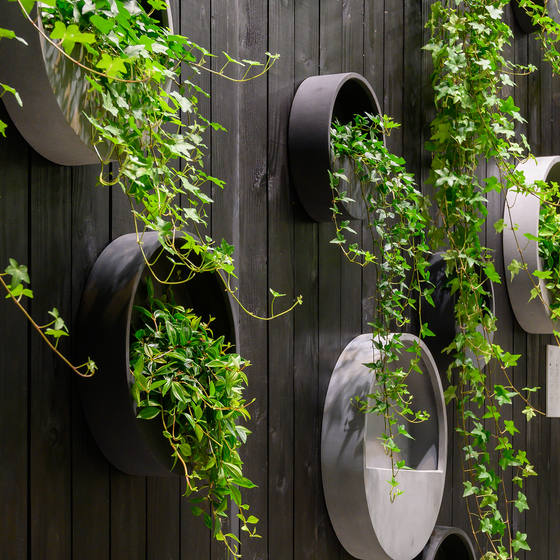 Wally (hanging) XS Fiberstone, L x B x H : - x - x 9,00 D : 30,00