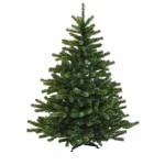 Weihnachtsbaum geschmückt - Premium