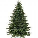 Weihnachtsbaum geschmückt - Premium
